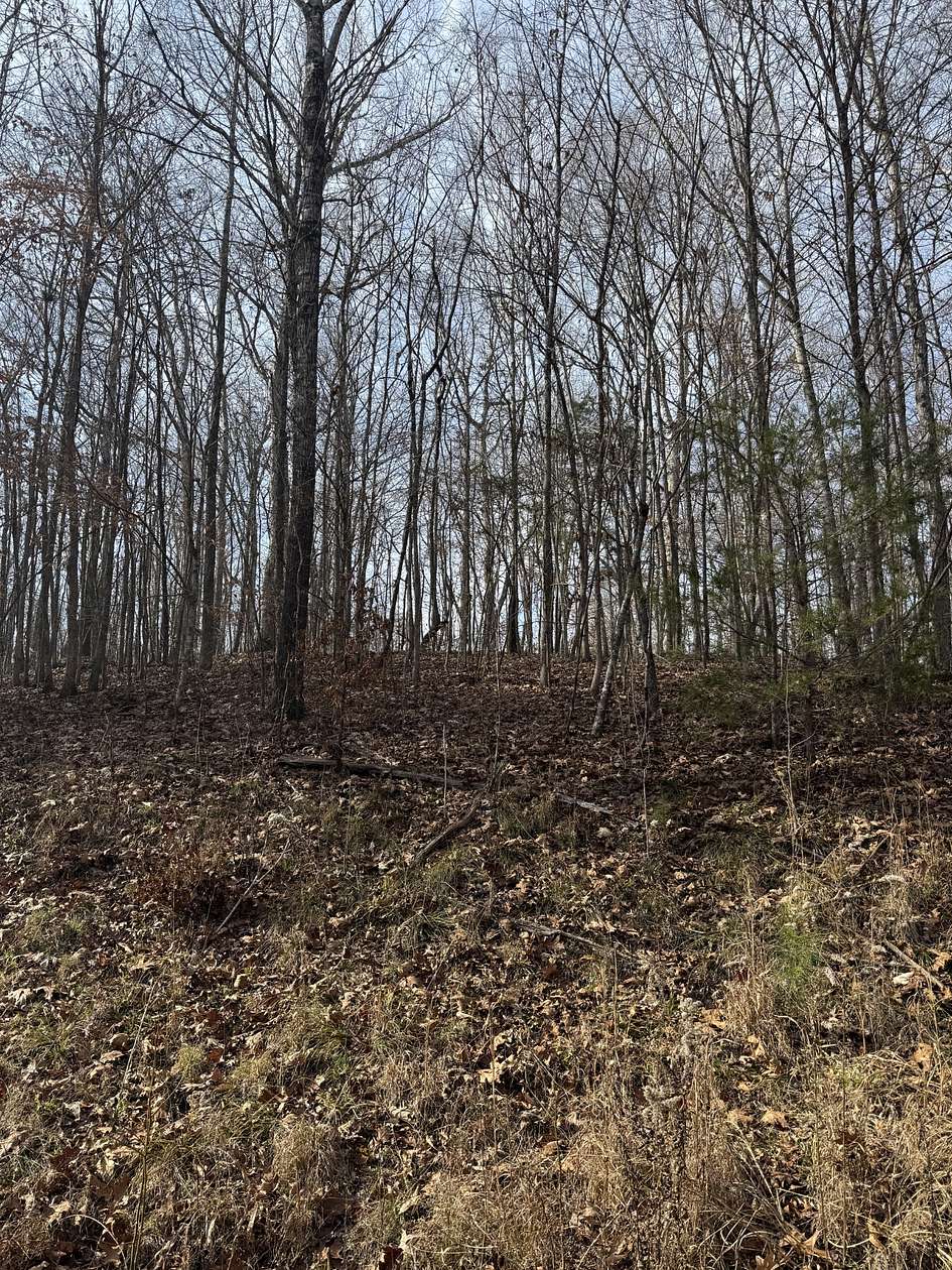 0.56 Acres of Residential Land for Sale in Big Sandy, Tennessee