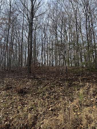 0.56 Acres of Residential Land for Sale in Big Sandy, Tennessee