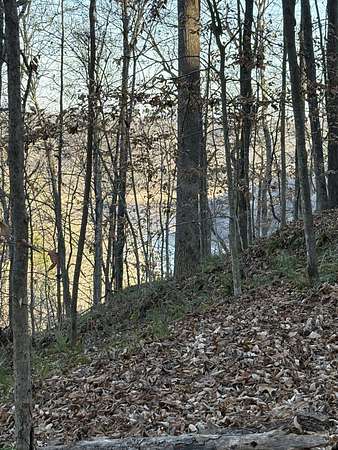 2.6 Acres of Residential Land for Sale in Sparta, Tennessee