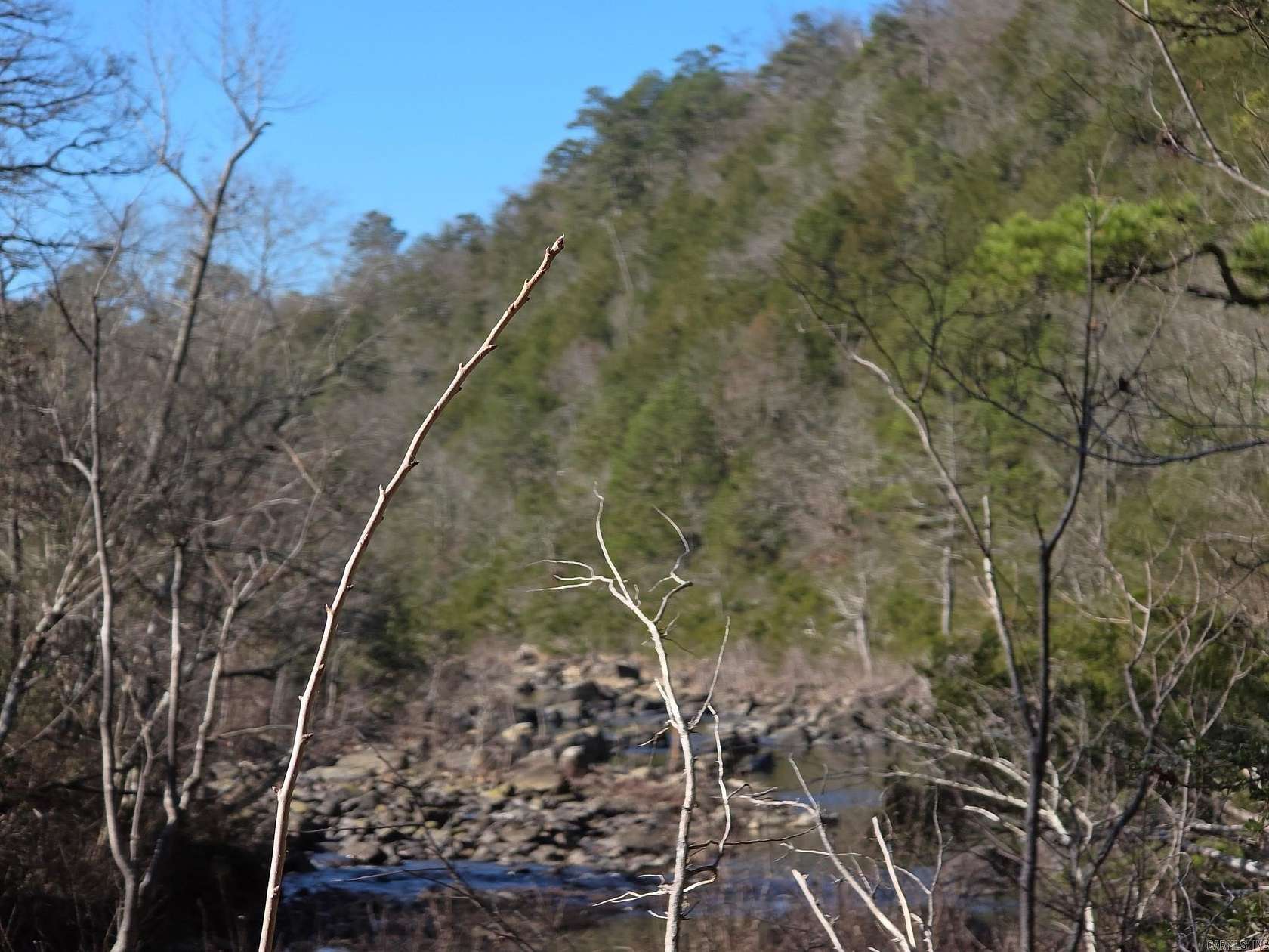 31.8 Acres of Land for Sale in Gillham, Arkansas