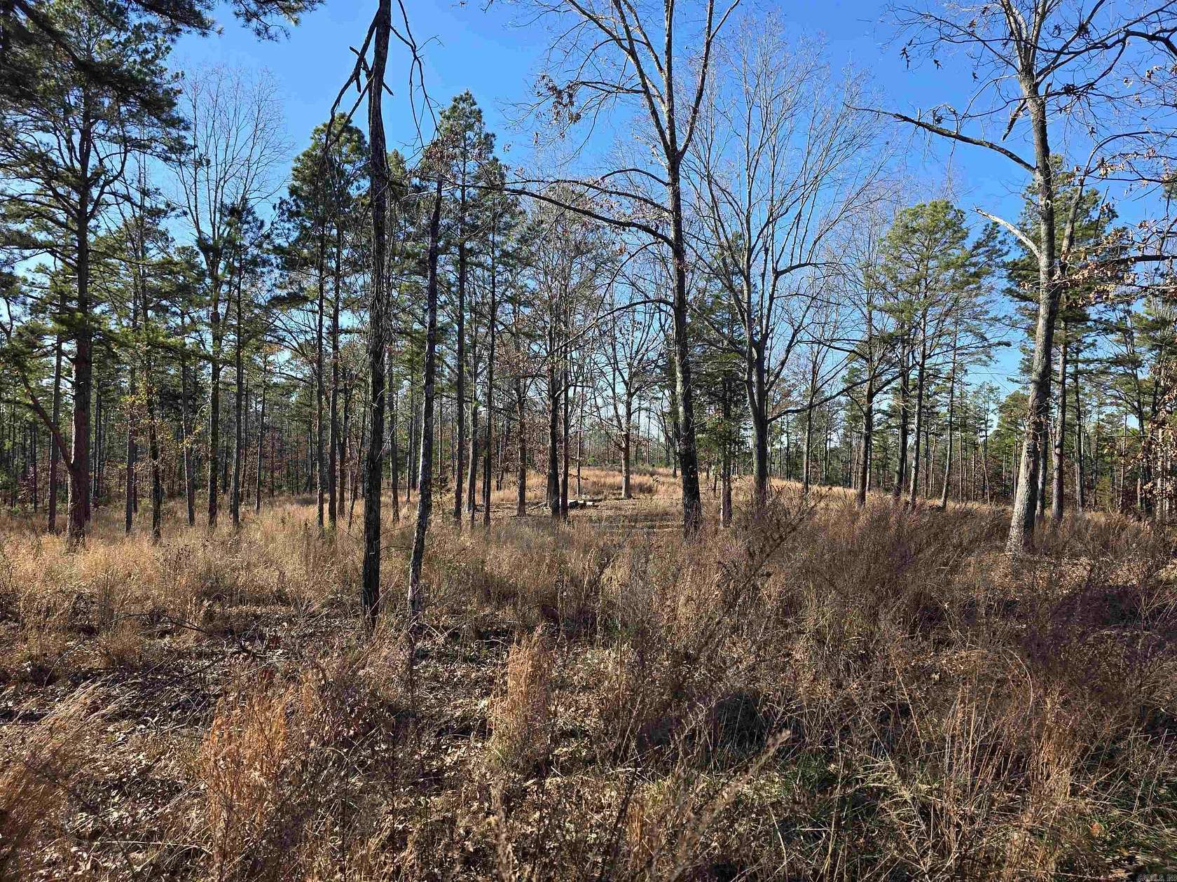 25 Acres of Recreational Land for Sale in Oxford, Arkansas