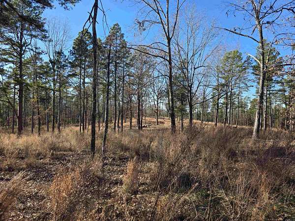 25 Acres of Recreational Land for Sale in Oxford, Arkansas