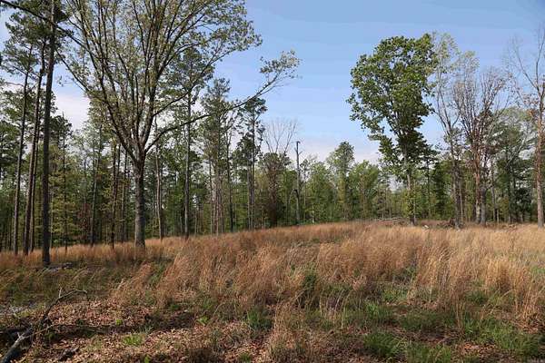 25 Acres of Recreational Land for Sale in Oxford, Arkansas