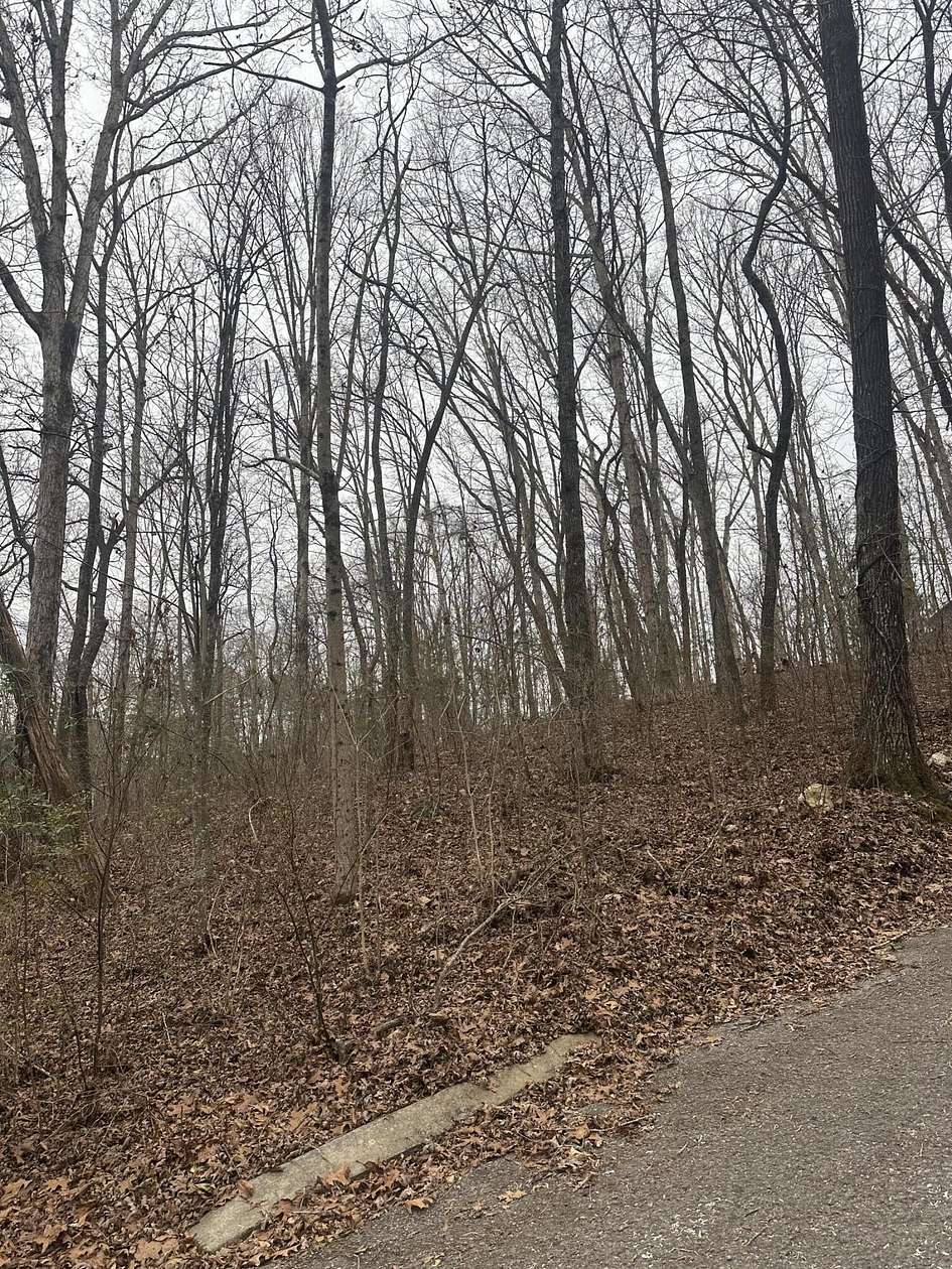 0.58 Acres of Land for Sale in Dunlap, Tennessee