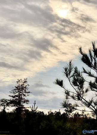 10.5 Acres of Land for Sale in Piedmont, Alabama