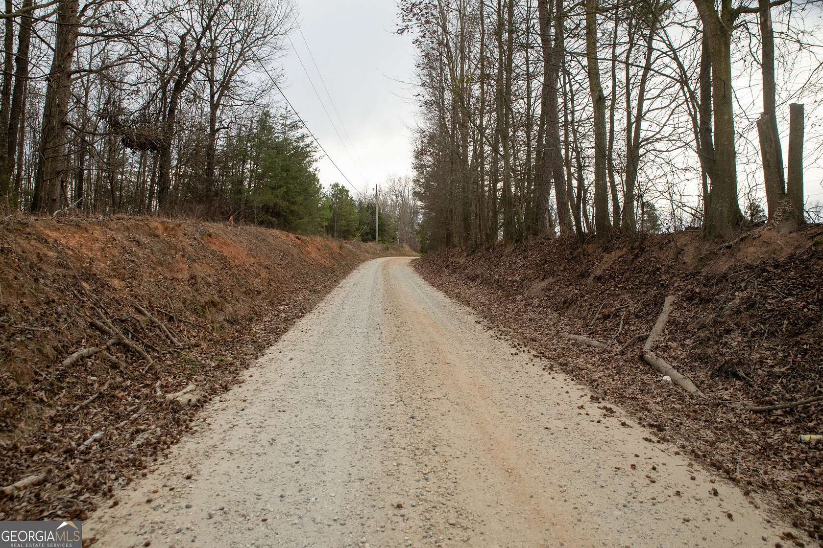 15.3 Acres of Land for Sale in Carnesville, Georgia