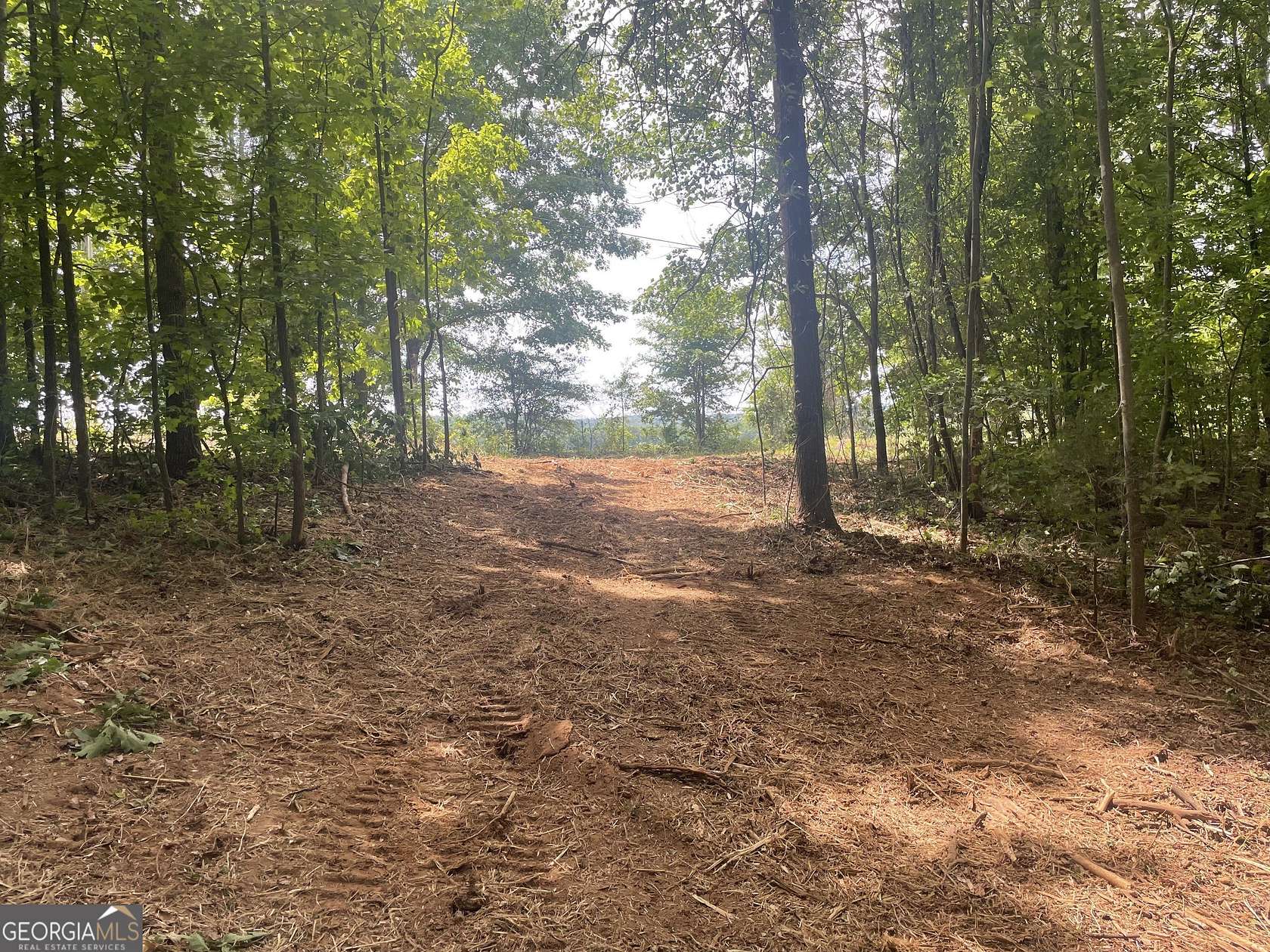 15.3 Acres of Land for Sale in Carnesville, Georgia