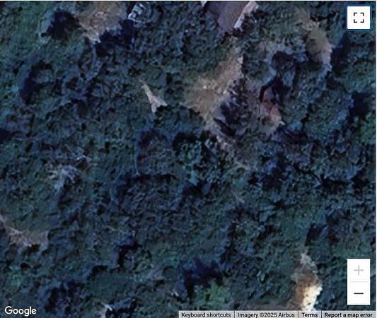 10 Acres of Land for Sale in Centerville, Texas