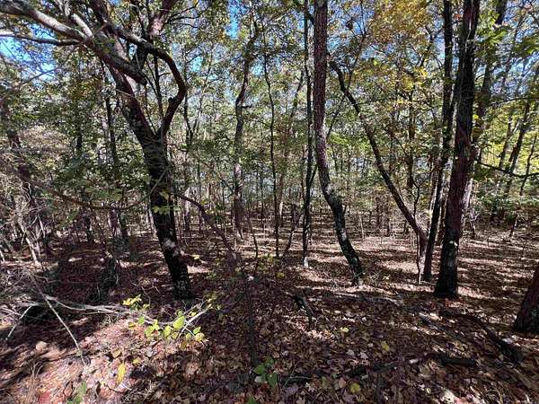1 Acre of Residential Land for Sale in Clinton, Arkansas
