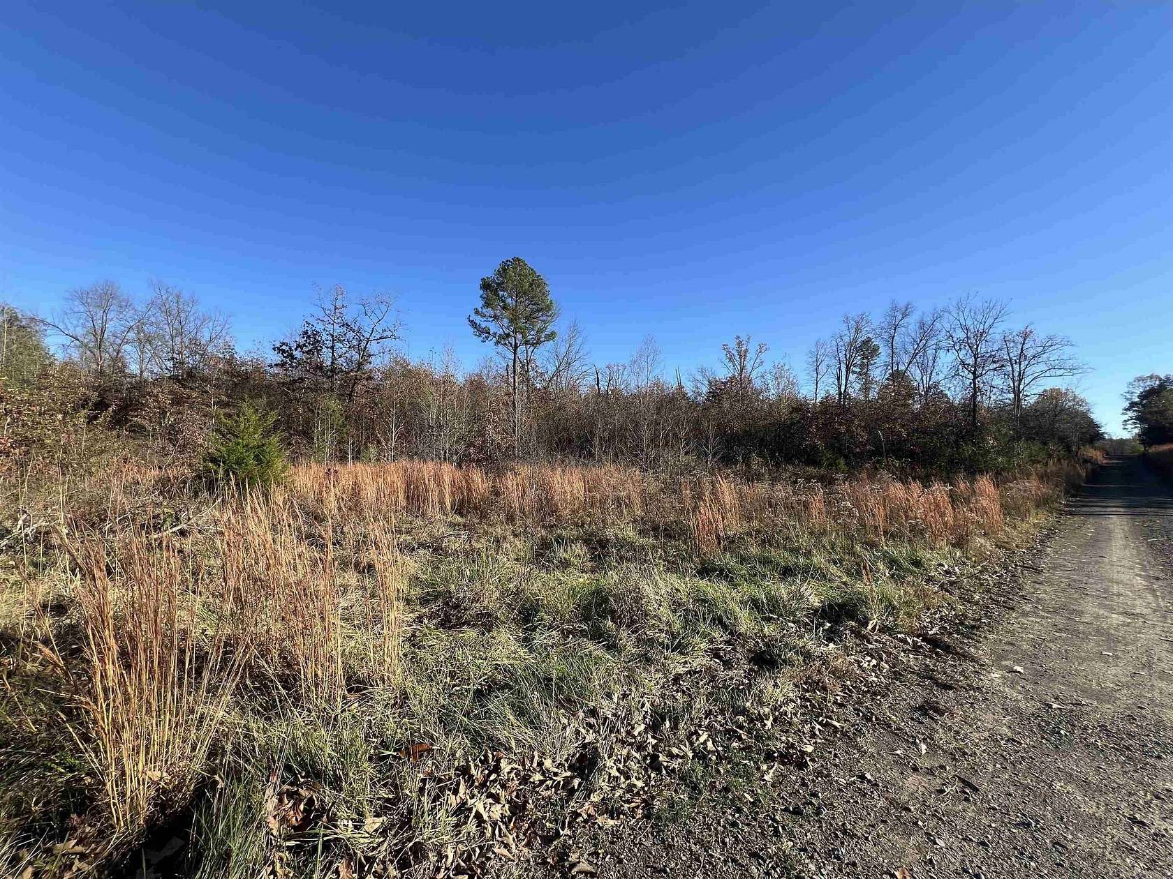 33.5 Acres of Recreational & Residential Land for Sale in Center Ridge, Arkansas