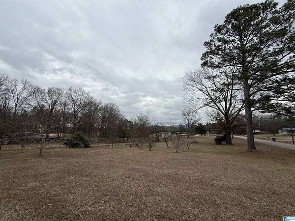 1 Acre of Residential Land for Sale in Eastaboga, Alabama