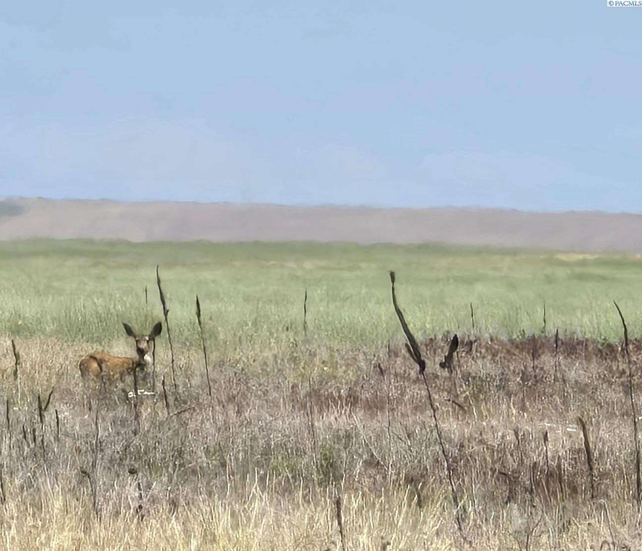 64 Acres of Agricultural Land for Sale in Ritzville, Washington