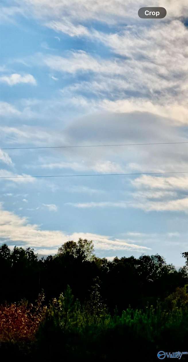 21.5 Acres of Land for Sale in Piedmont, Alabama