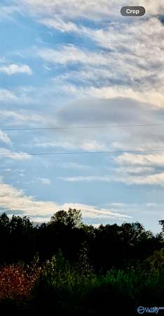 21.5 Acres of Land for Sale in Piedmont, Alabama