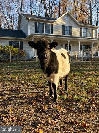 5 Acres of Residential Land with Home for Sale in Upper Marlboro, Maryland