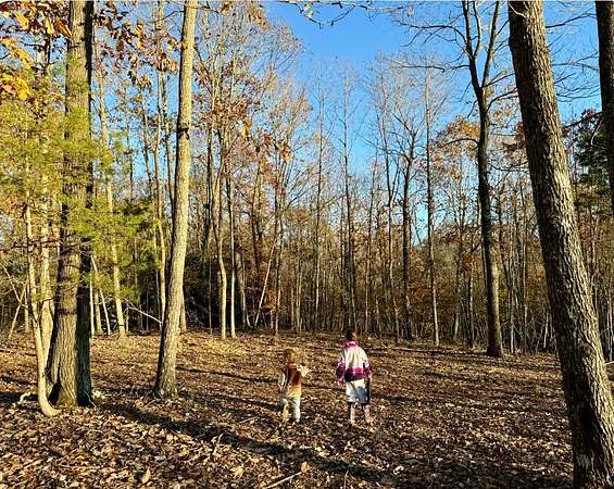 17.7 Acres of Land for Sale in Bumpus Mills, Tennessee