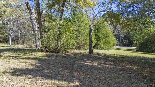 0.6 Acres of Residential Land for Sale in Flint, Texas