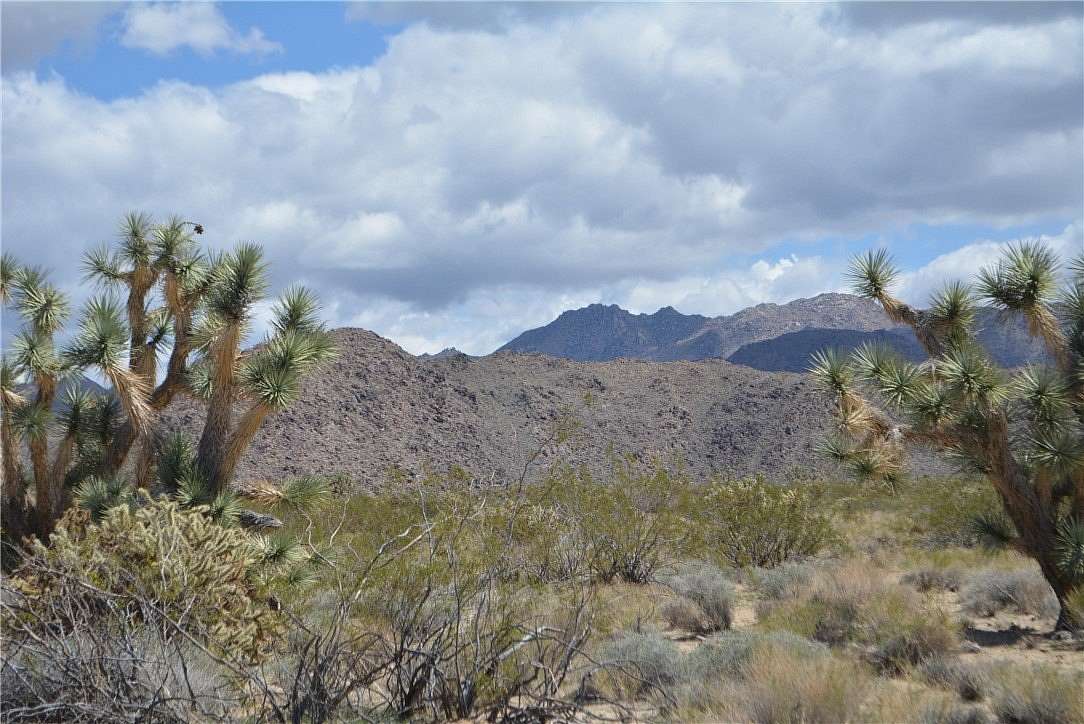 2.35 Acres of Land for Sale in Yucca, Arizona