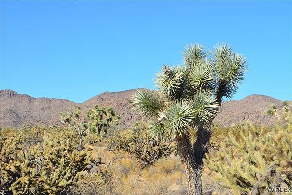 2.35 Acres of Residential Land for Sale in Yucca, Arizona