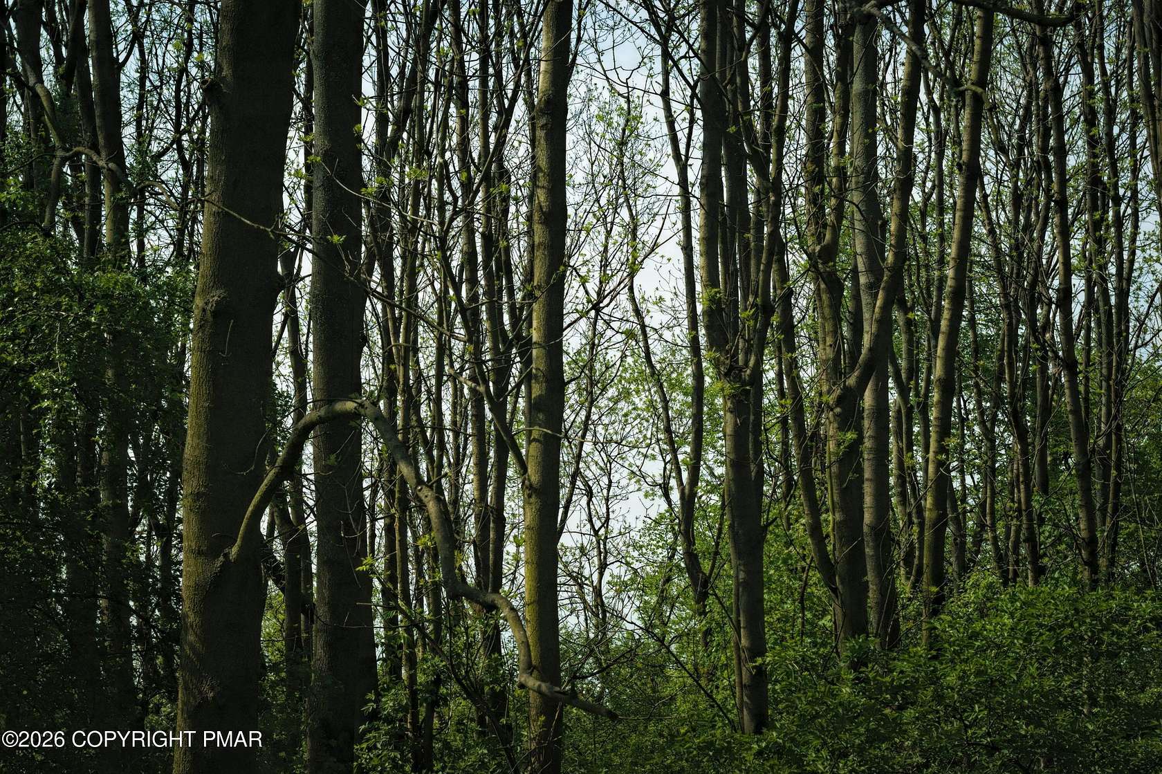 0.54 Acres of Residential Land for Sale in Bushkill, Pennsylvania