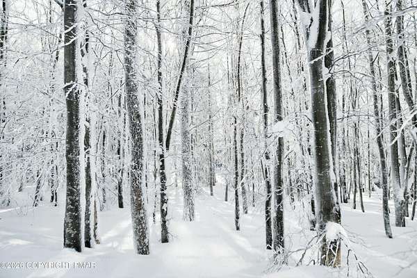 0.54 Acres of Residential Land for Sale in Bushkill, Pennsylvania