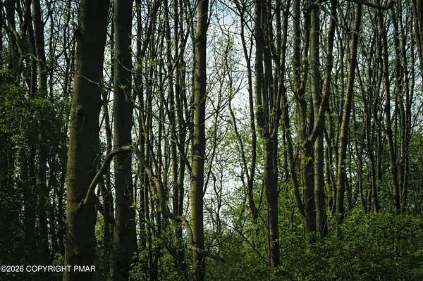 0.54 Acres of Residential Land for Sale in Bushkill, Pennsylvania