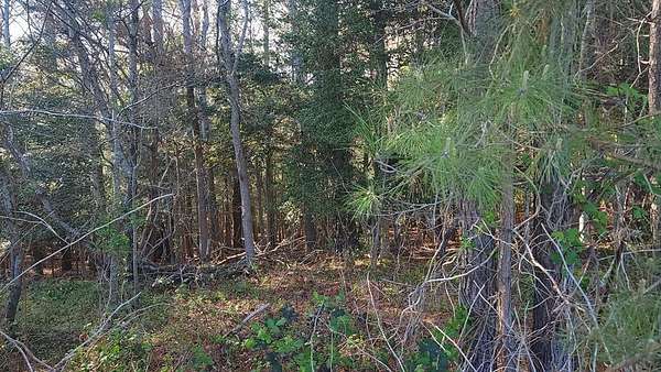 4.54 Acres of Residential Land for Sale in Mappsville, Virginia