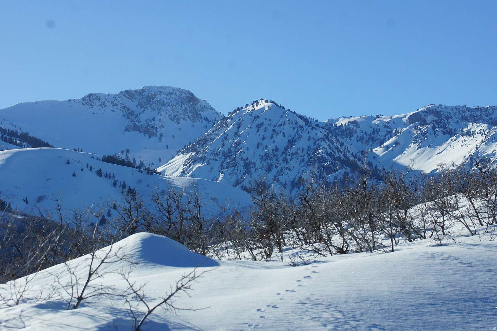 5.25 Acres of Residential Land for Sale in Liberty, Utah