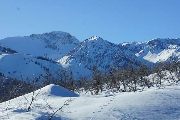 5.25 Acres of Residential Land for Sale in Liberty, Utah