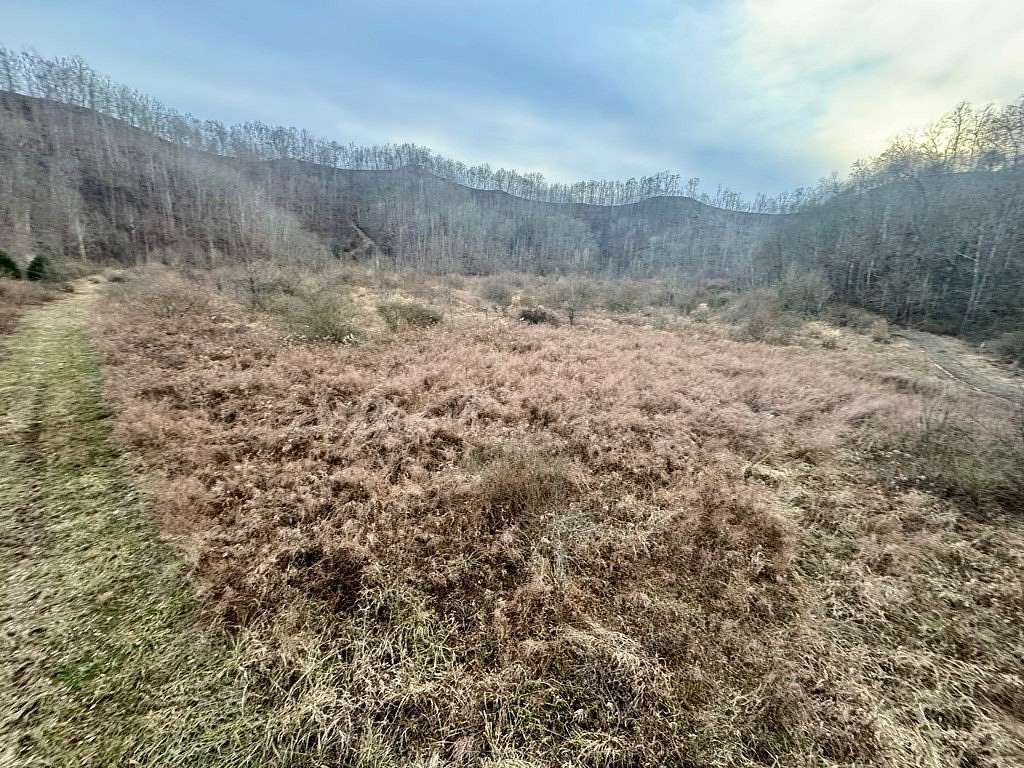126 Acres of Recreational Land for Sale in Belfry, Kentucky