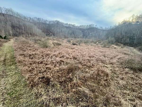 126 Acres of Recreational Land for Sale in Belfry, Kentucky