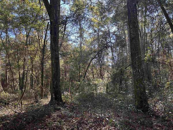1 Acre of Residential Land for Sale in Tallahassee, Florida