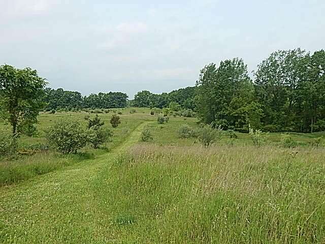 90 Acres of Land for Sale in Stockbridge, Michigan