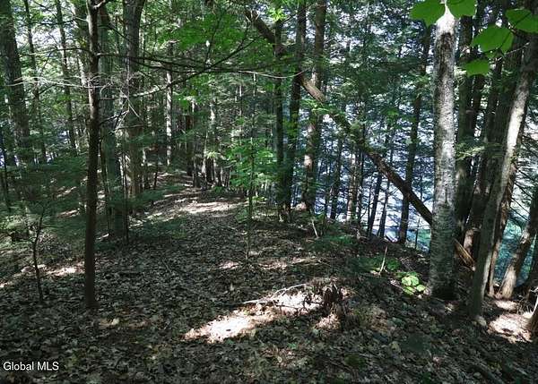 1.34 Acres of Land for Sale in Corinth, New York
