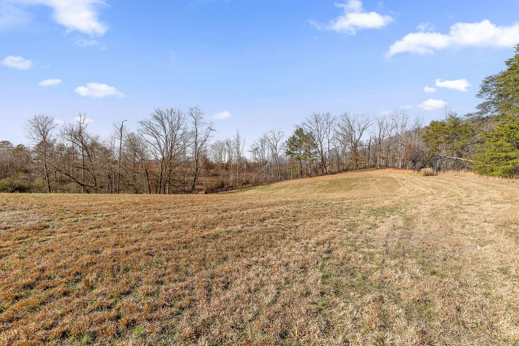 5 Acres of Land for Sale in Dayton, Tennessee