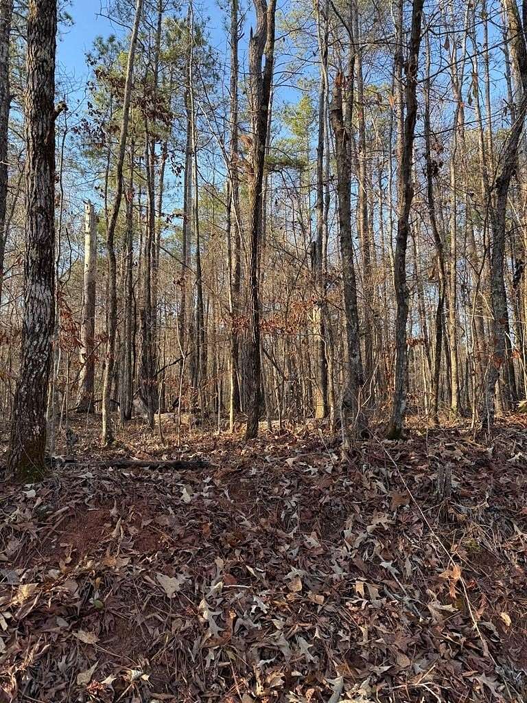 Residential Land for Sale in Sparta, Georgia