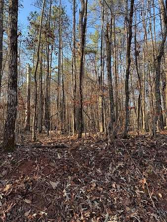 Land for Sale in Sparta, Georgia