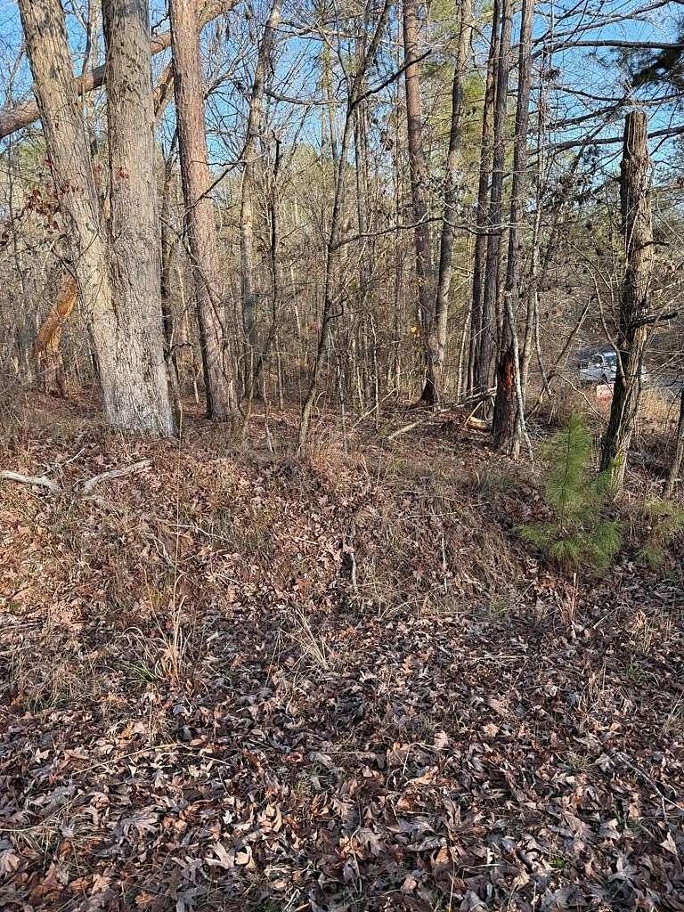Land for Sale in Sparta, Georgia