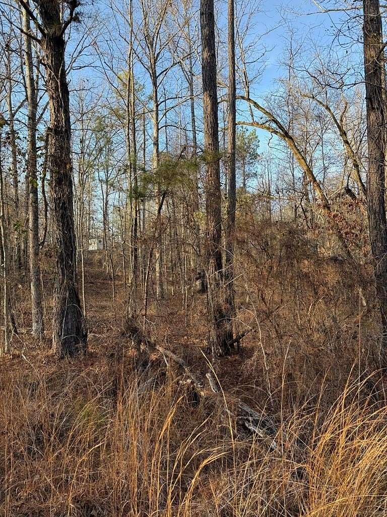 0.58 Acres of Land for Sale in Sparta, Georgia