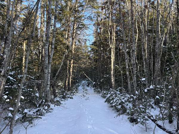 33 Acres of Land for Sale in Steuben, Maine