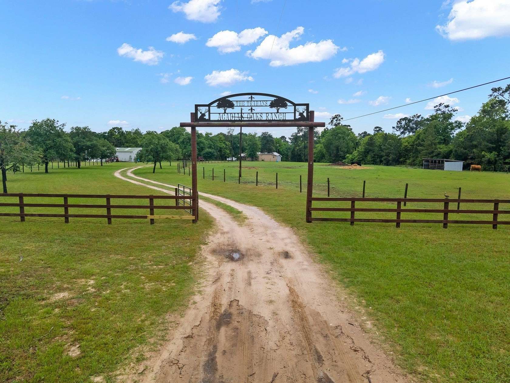 114 Acres of Improved Land for Sale in Village Mills, Texas