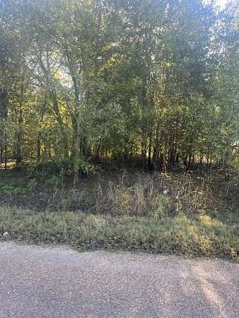 1 Acre of Land for Sale in Terrell, Texas