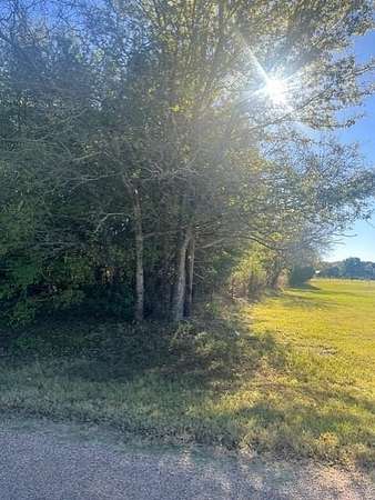 1 Acre of Land for Sale in Terrell, Texas