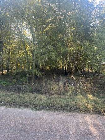 1 Acre of Residential Land for Sale in Terrell, Texas