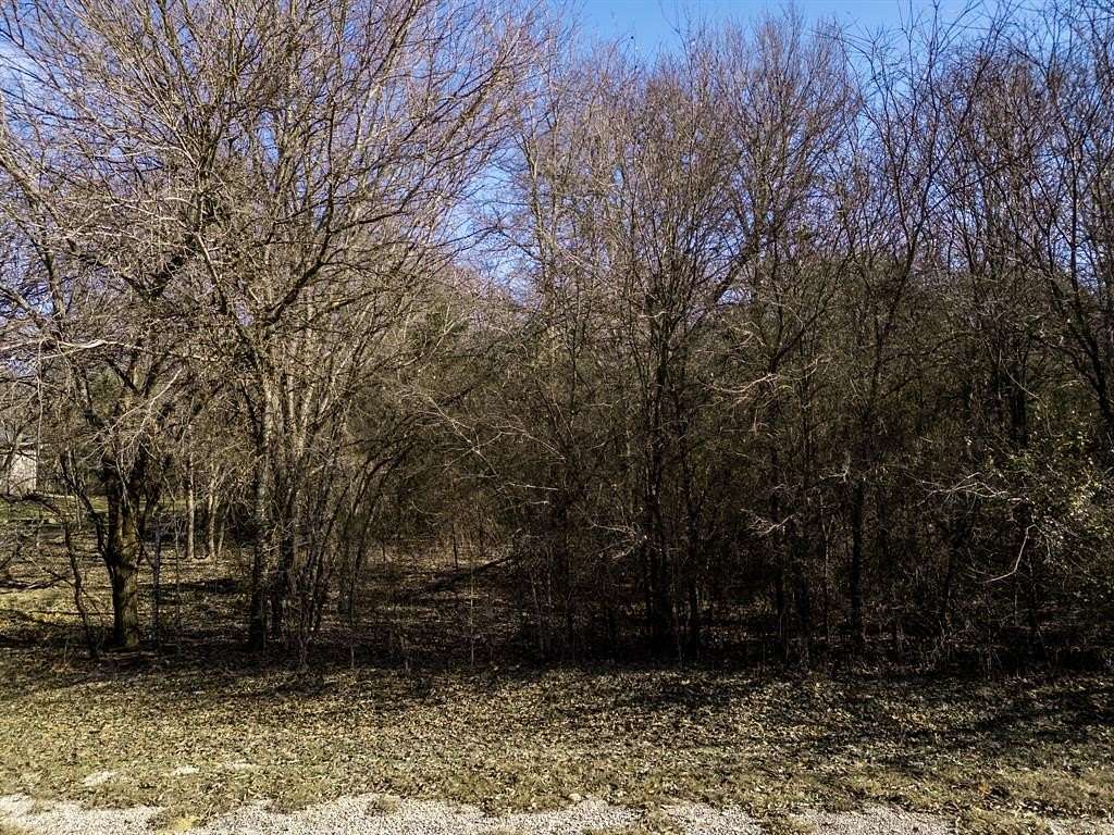 0.52 Acres of Land for Sale in Whitney, Texas