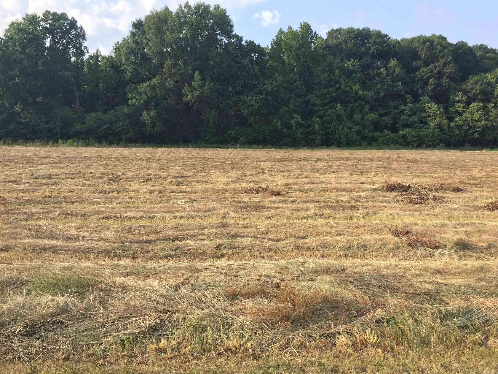 1 Acre of Land for Sale in England, Arkansas