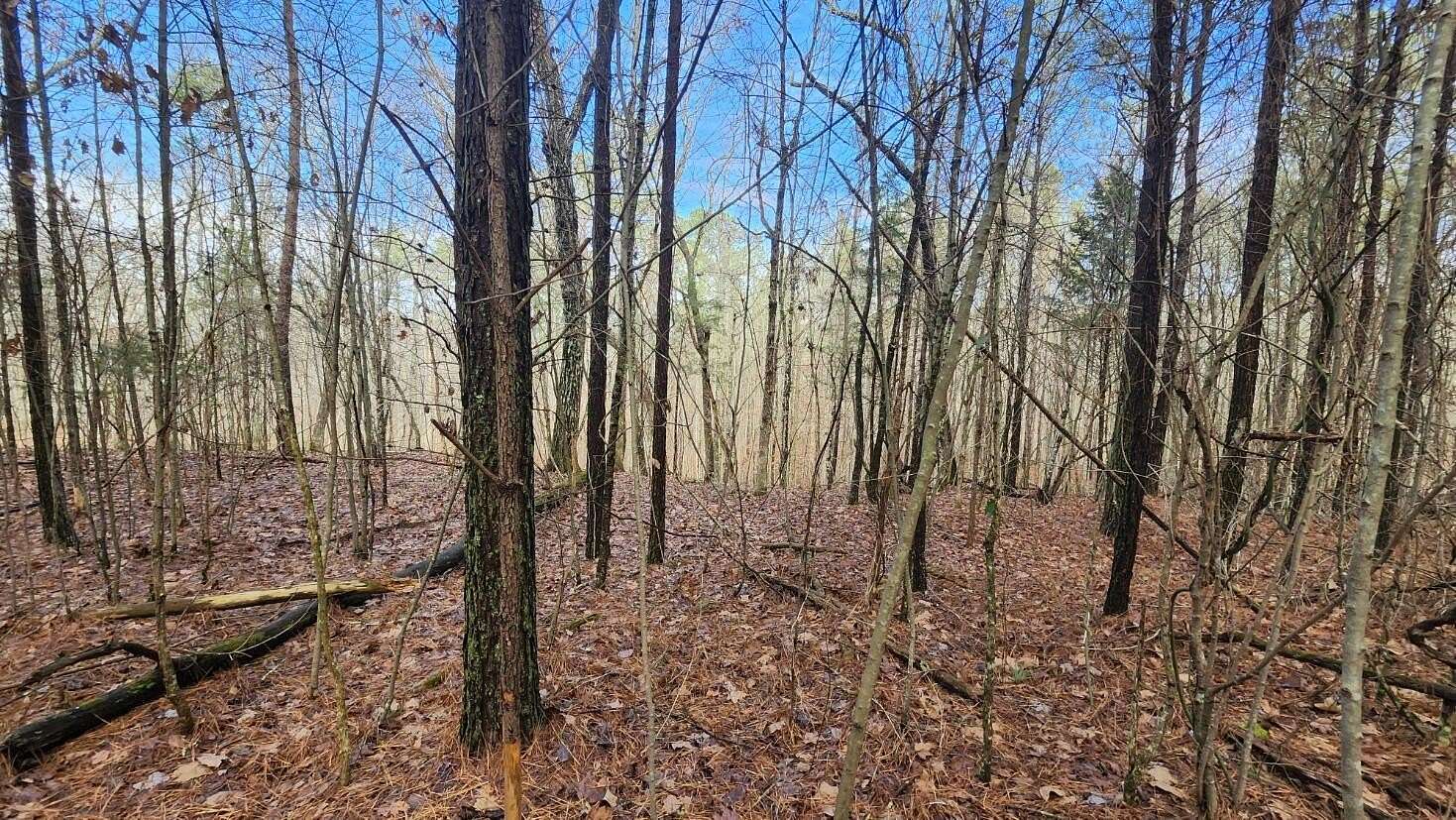 1.86 Acres of Residential Land for Sale in Jasper, Tennessee