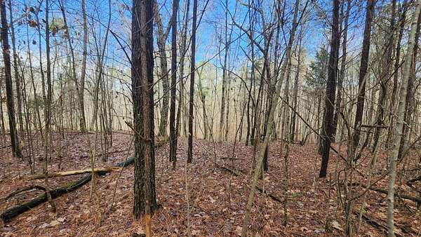 1.86 Acres of Residential Land for Sale in Jasper, Tennessee