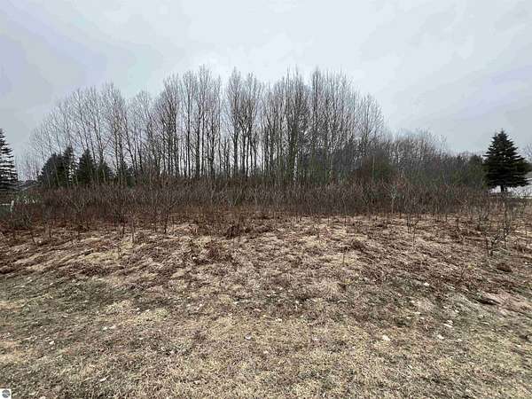 0.95 Acres of Land for Sale in Cadillac, Michigan