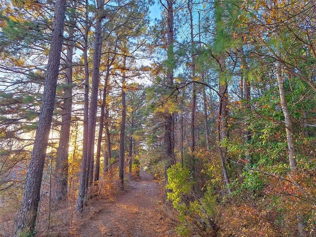 43.7 Acres of Recreational Land for Sale in Hughes Springs, Texas